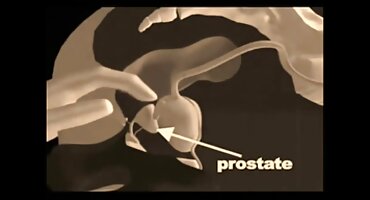 చాలా ఇంద్రియాలకు సంబంధించిన అమ్మాయి పసికందు ఇచ్చింది నల్లచేవమాను తర్వాత బీచ్ తెలుగు వీడియో సెక్స్ సెక్స్