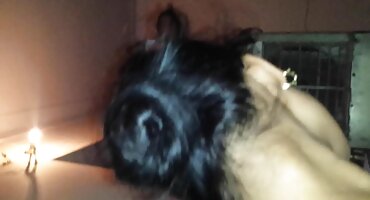 నల్లచేవమాను తో తెలుగు ఆంటీ సెక్స్ వీడియో భారీ గాడిద ఇబ్బంది పెట్టాడు రెడ్ హెడ్ లెస్బియన్